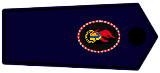 images/Dienst_Abzeichen/Gemeindejugendwart_und_Stellv_NRW_2017.png