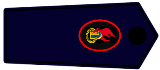images/Dienst_Abzeichen/Jugendfeuerwehrwart_und_Stellv_NRW_2017.png