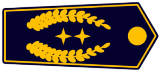images/Dienst_Abzeichen/Kreisbrandmeister_NRW_2017.png