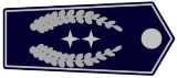 images/Dienst_Abzeichen/Leiter_der_Feuerwehr_NRW_2017.png