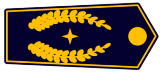 images/Dienst_Abzeichen/Stellv_Kreisbrandmeister_NRW_2017.png